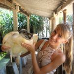 Floridecires